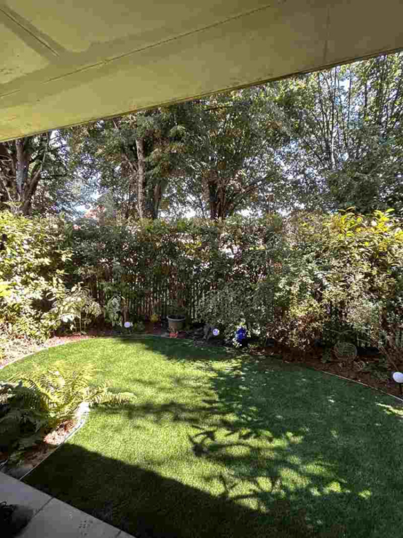 Aménagement de jardin avec plantation d’arbustes à Nuits-Saint-Georges, Dijon, L'Art des Jardins