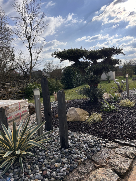Plantation d'arbustes dans un jardin de maison à Nuits-Saint-Georges, Dijon, L'Art des Jardins