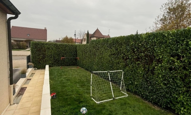 Taille de haie de laurier à BEAUNE, Dijon, L'Art des Jardins