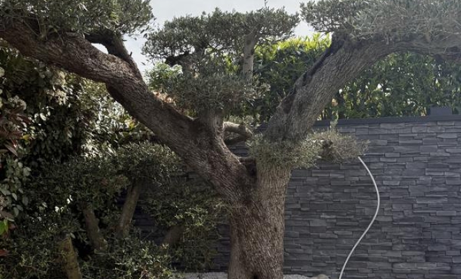 Création et aménagement de jardins et d'espaces verts, Dijon, L'Art des Jardins