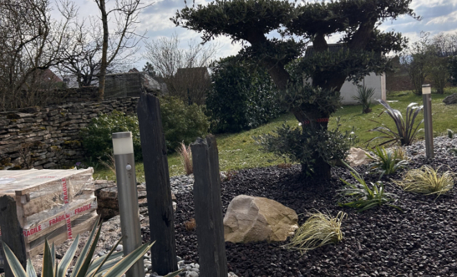 Plantation d'arbustes dans un jardin de maison à Nuits-Saint-Georges, Dijon, L'Art des Jardins