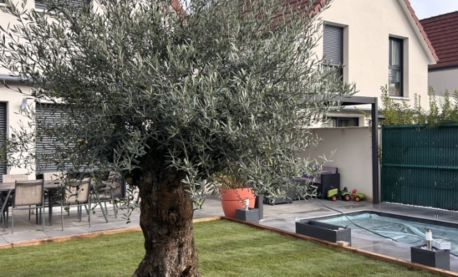 Plantation d’arbuste, Dijon, L'Art des Jardins
