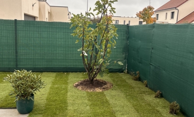 Plantation d’arbuste, Dijon, L'Art des Jardins